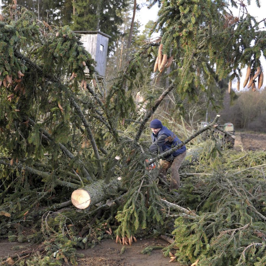 Ураганни ветрове причиниха множество разрушения в Полша