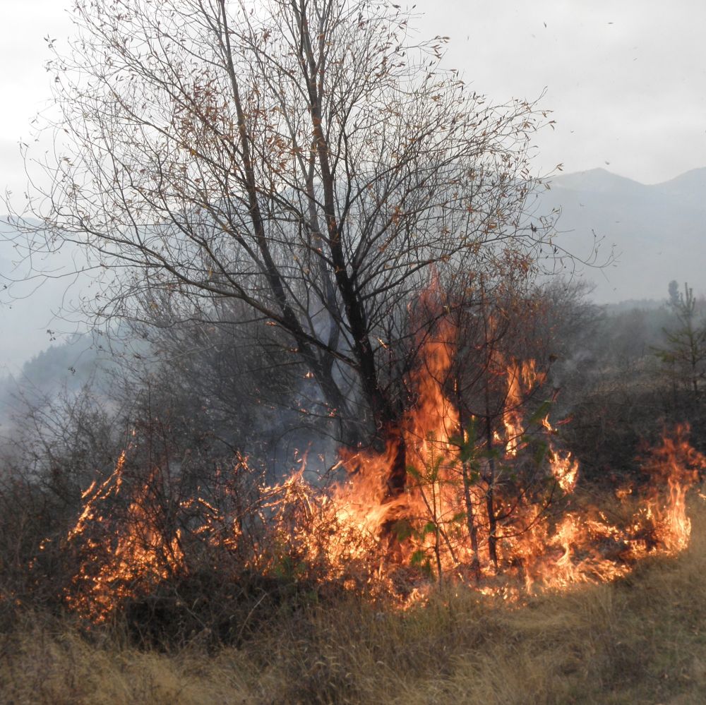 Пожар обхвана 3500 декара между 4 хасковски села