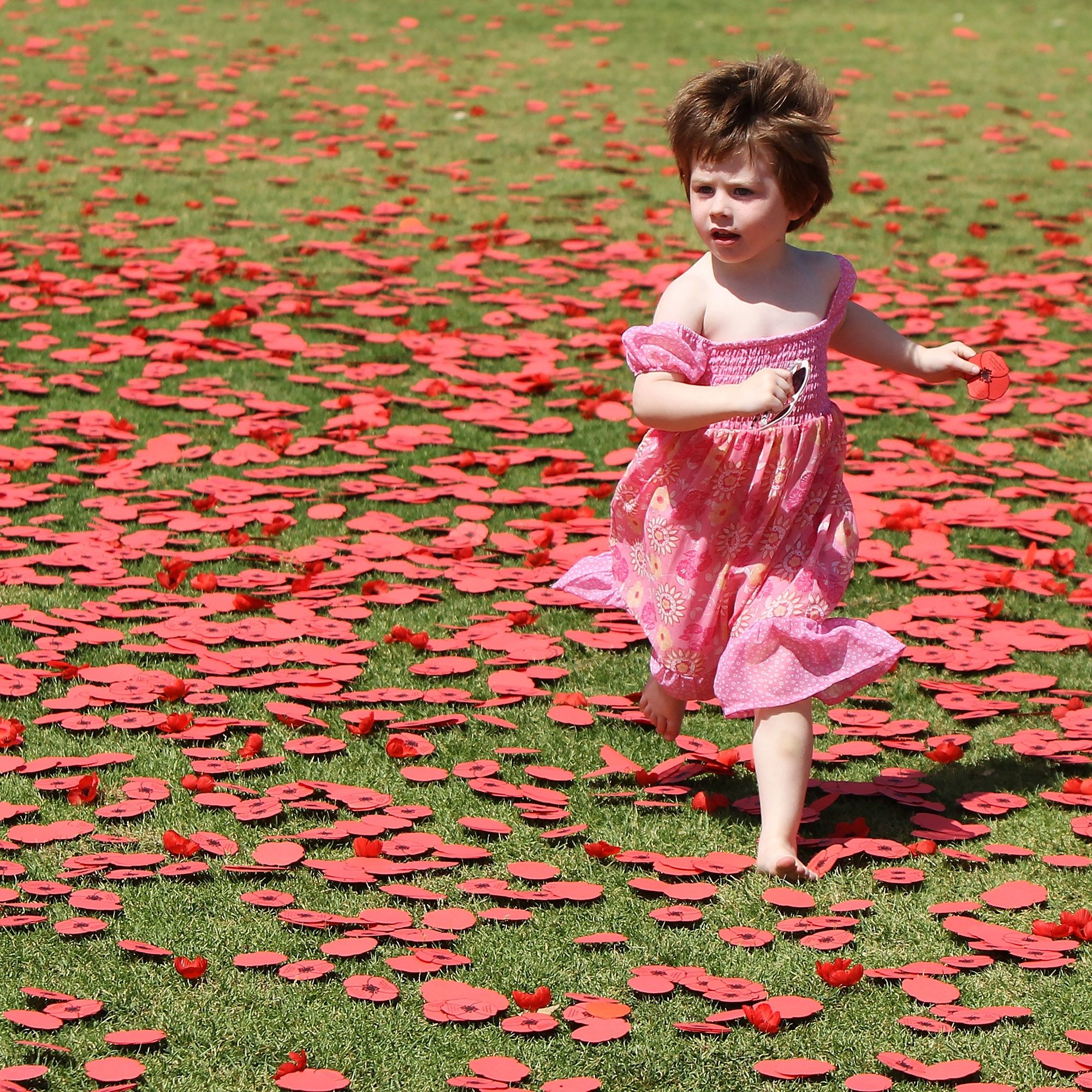 момиче, поляна, лято, пролет, дете