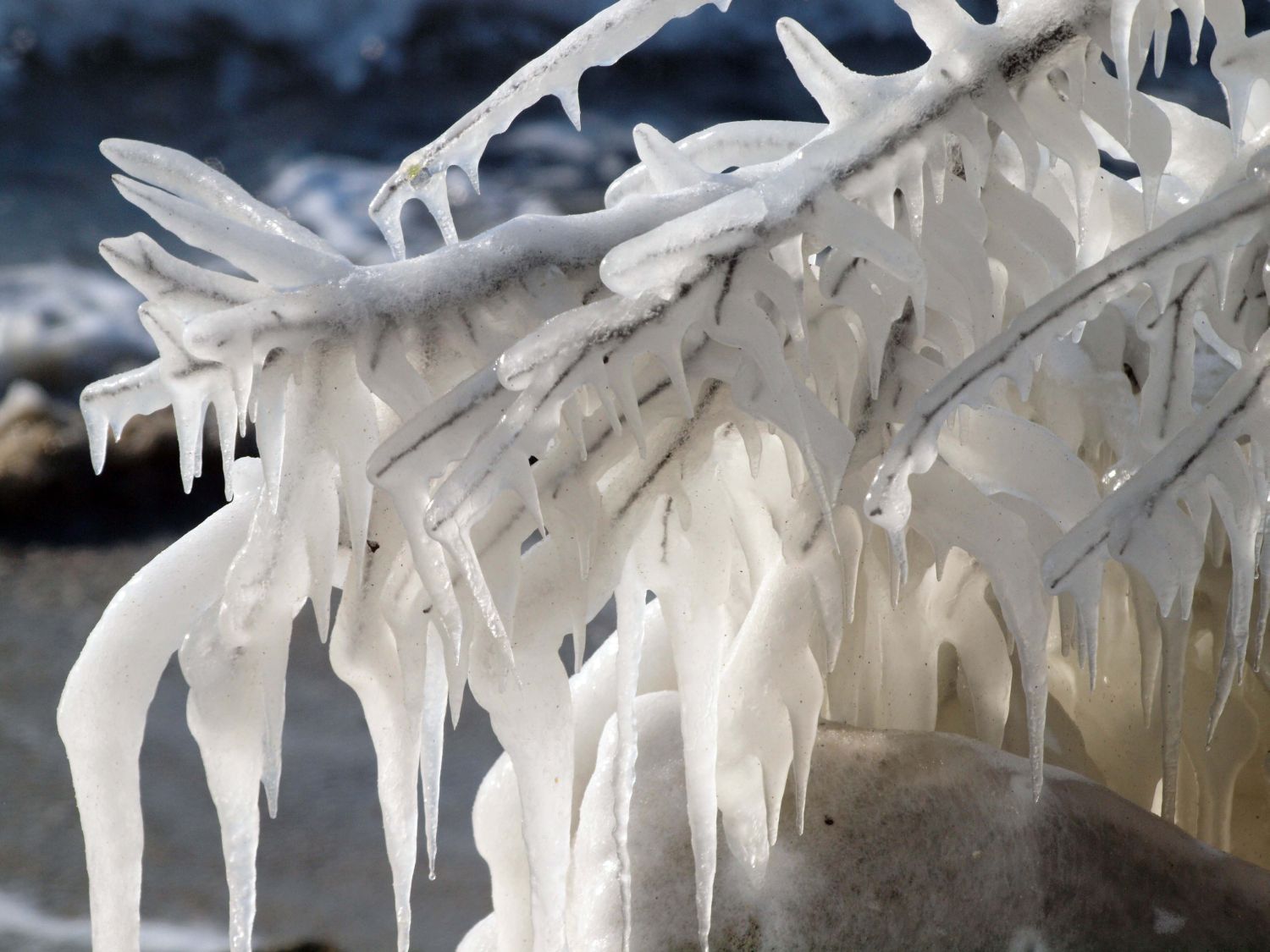 Със омекването на времето се появяват  и опасни ледени висулки