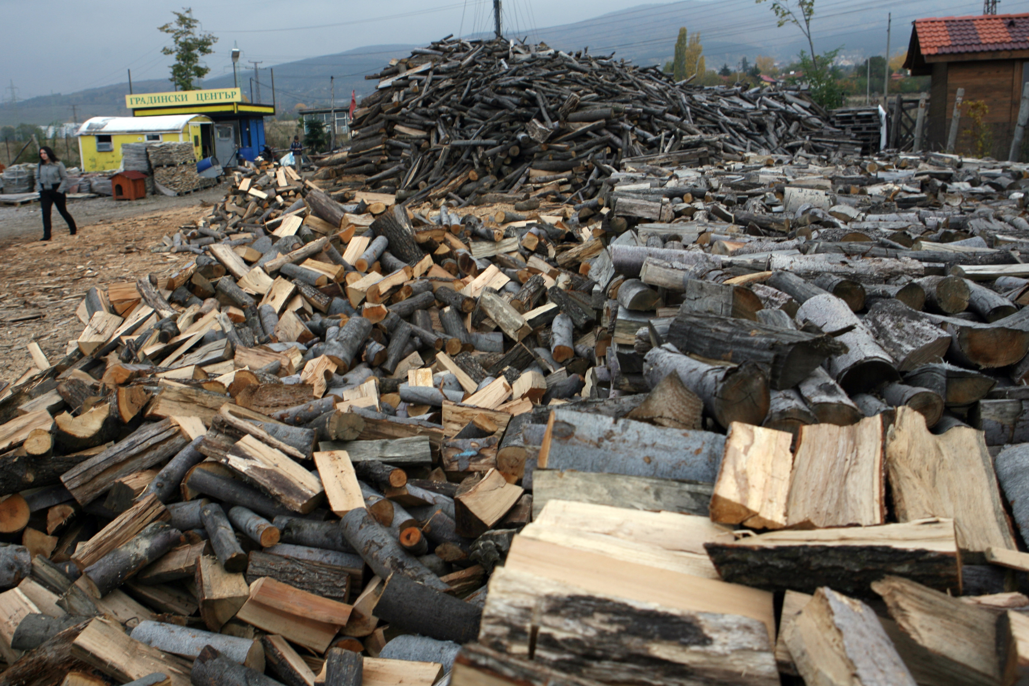 Между 3 и 8 тона дърва са необходими за отопление на едно домакинство за целия зимен сезон