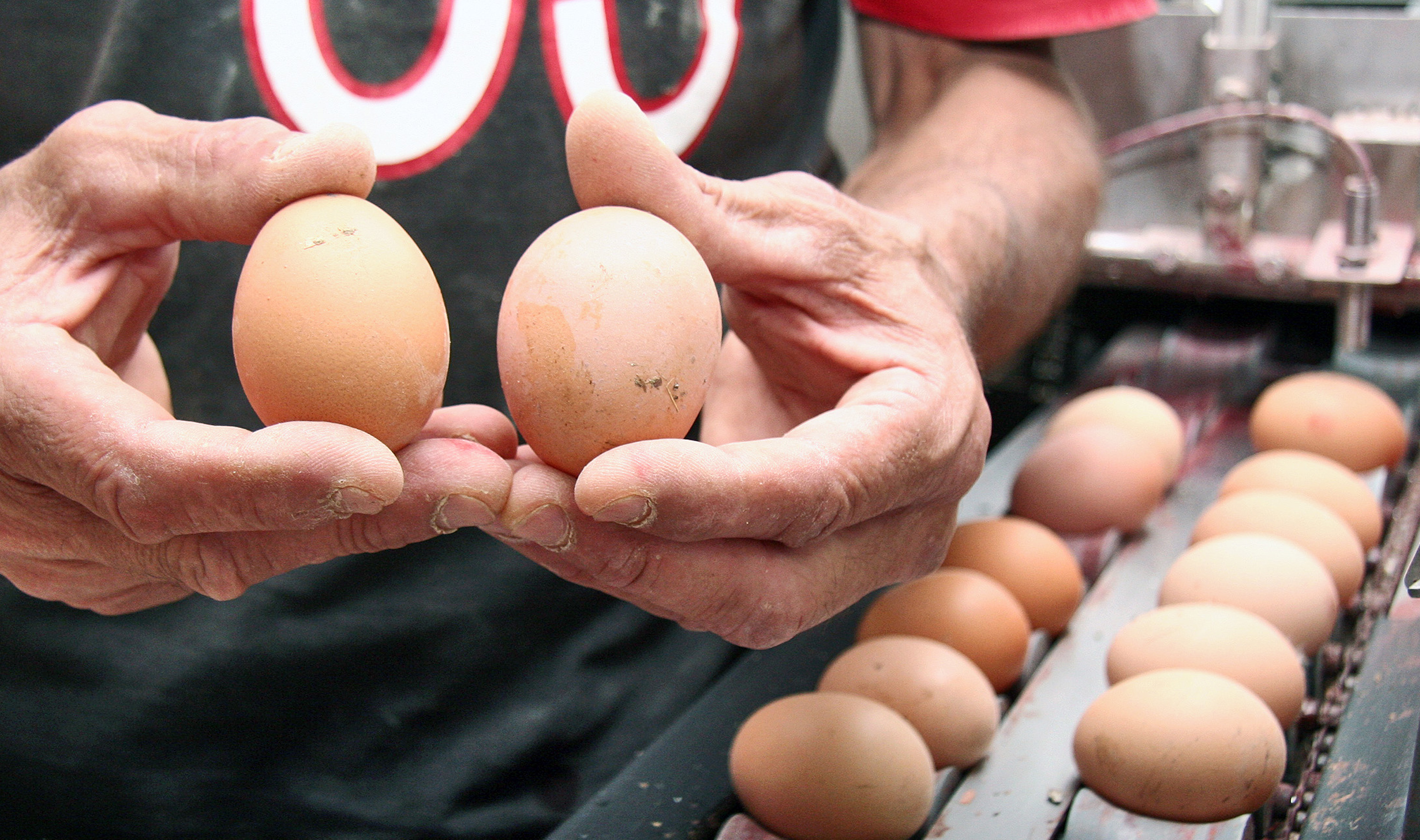 През април 2011 яйцата се продавали на едва по 16 стотинки.