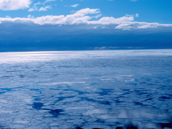 Ледът в Арктика пред рекорд