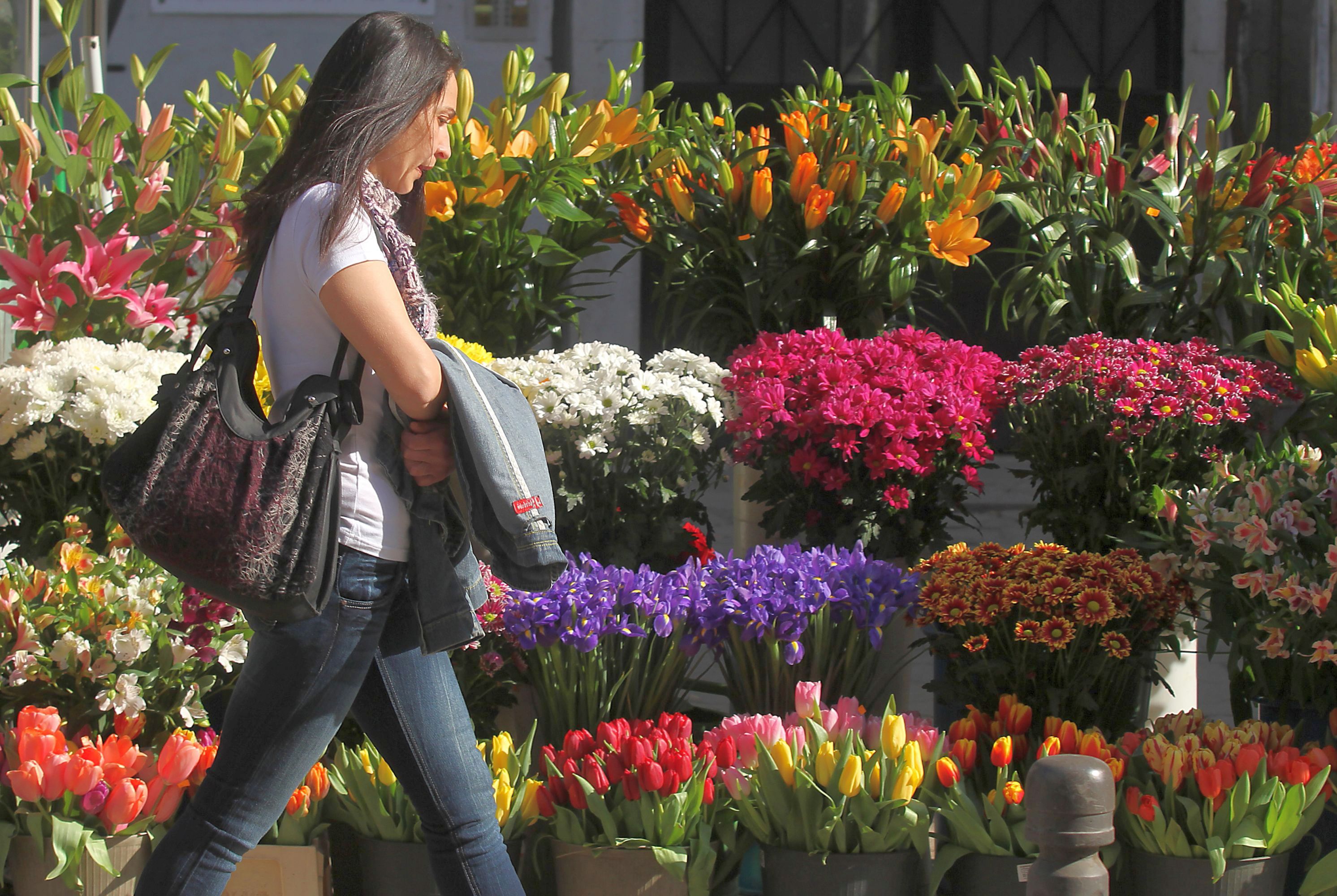 Хубавото време ще се задържи до неделя