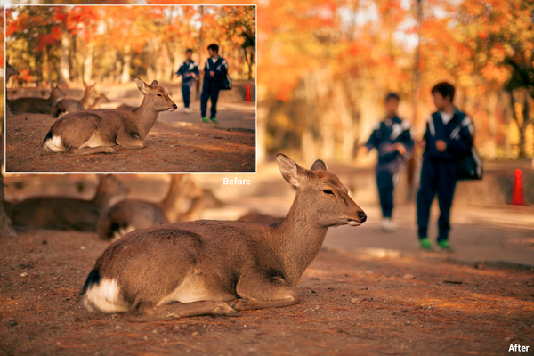 Снимките във Facebook ”пораснаха”