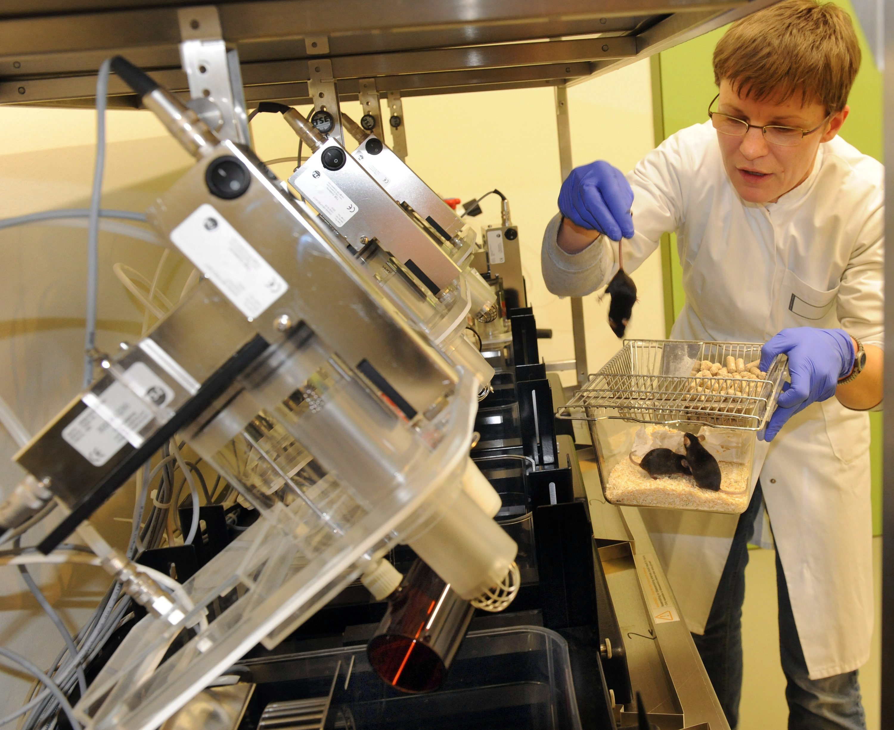 В бъдеще хората ще могат да се “учат” на нови умения, като използват електронни уреди или химия, твърдят учените