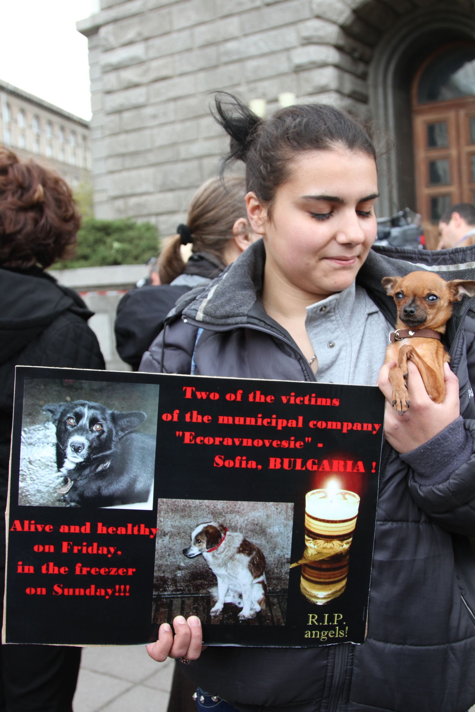 Хора и кучета на протест ”Играта свърши” срещу Найденов