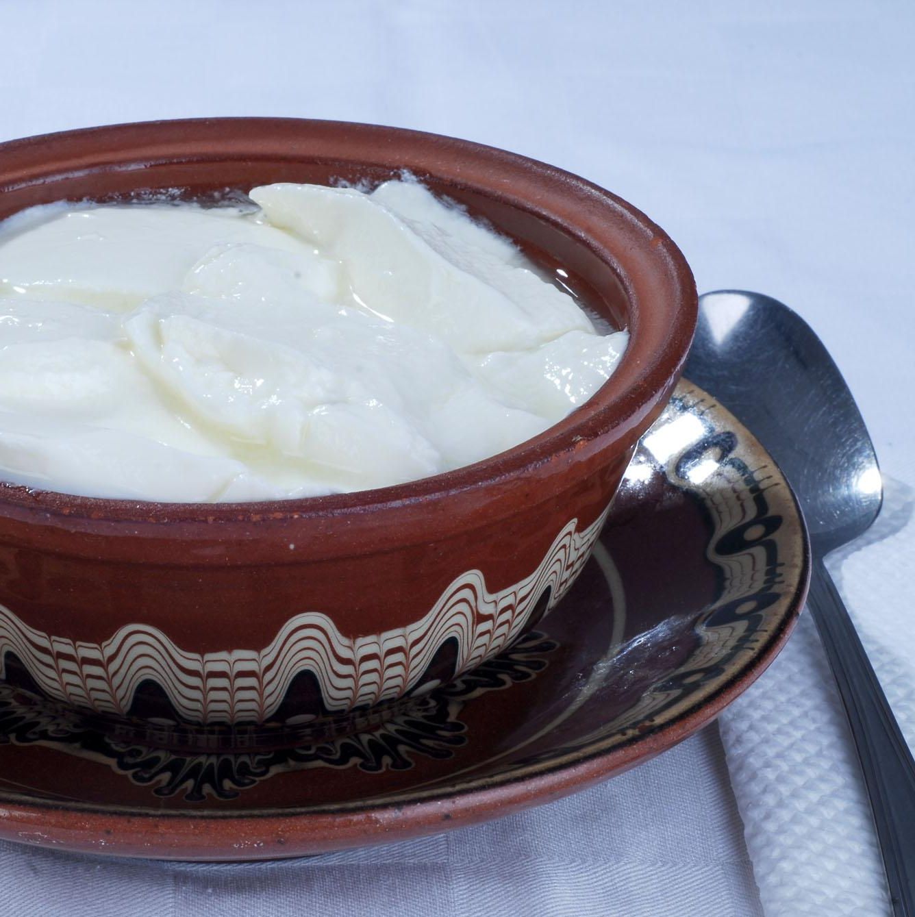 Болгарский йогурт кисело мляко
