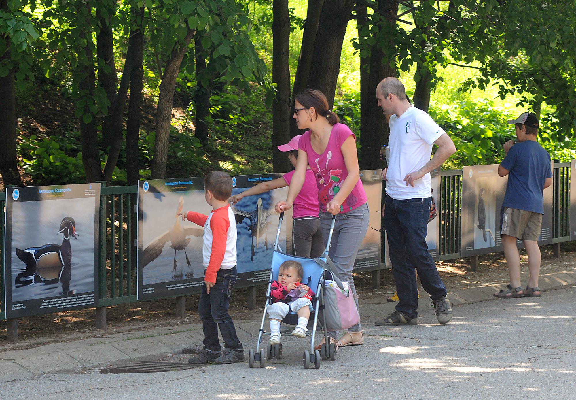 Затвориха зоопарка в София заради умрели животни
