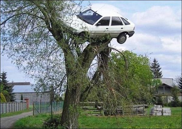 Автомобилен хулиган намери колата си на дърво