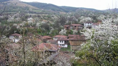 По проект на стойност 613 827 лв с ДДС ще