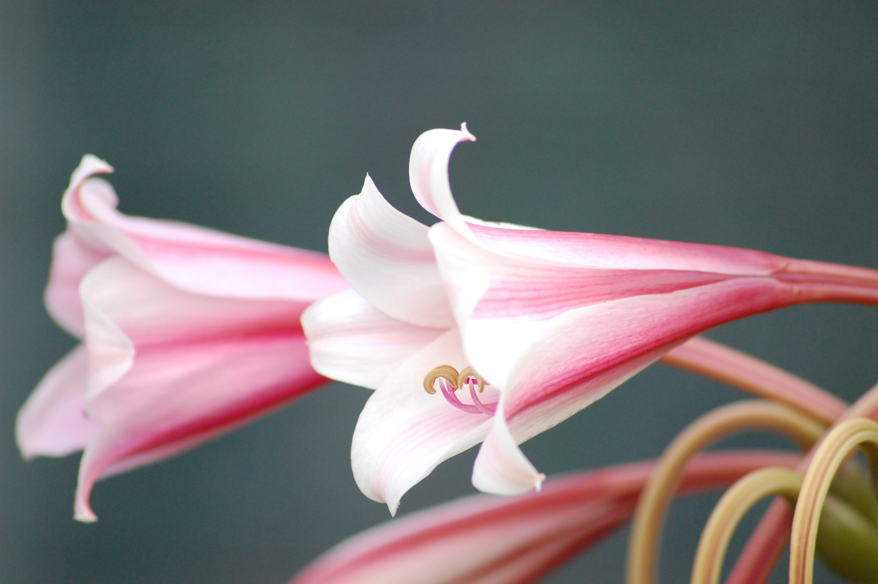 Майска равносметка