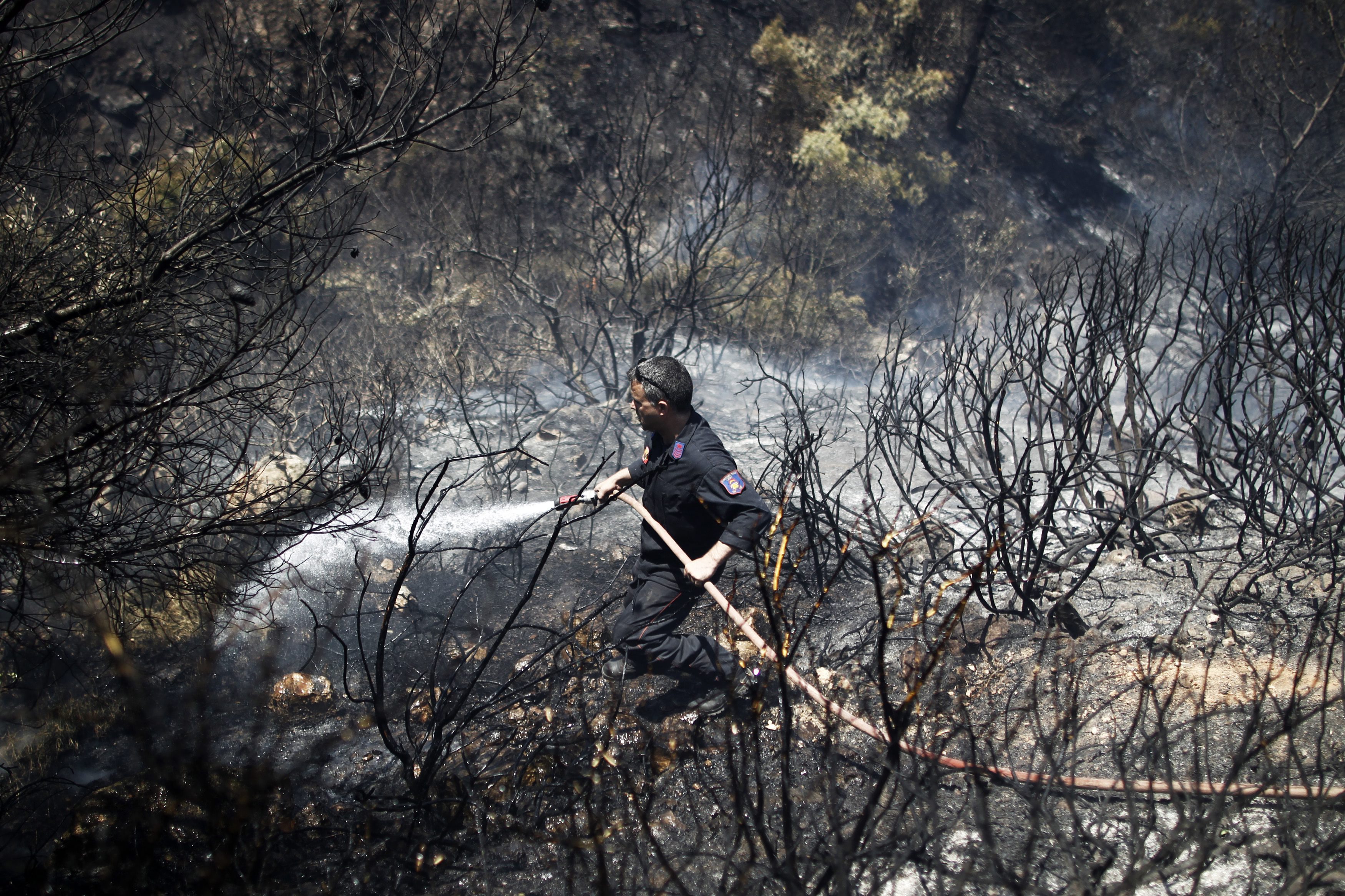 Голям пожар на о-в Закинтос и на други места в Гърция