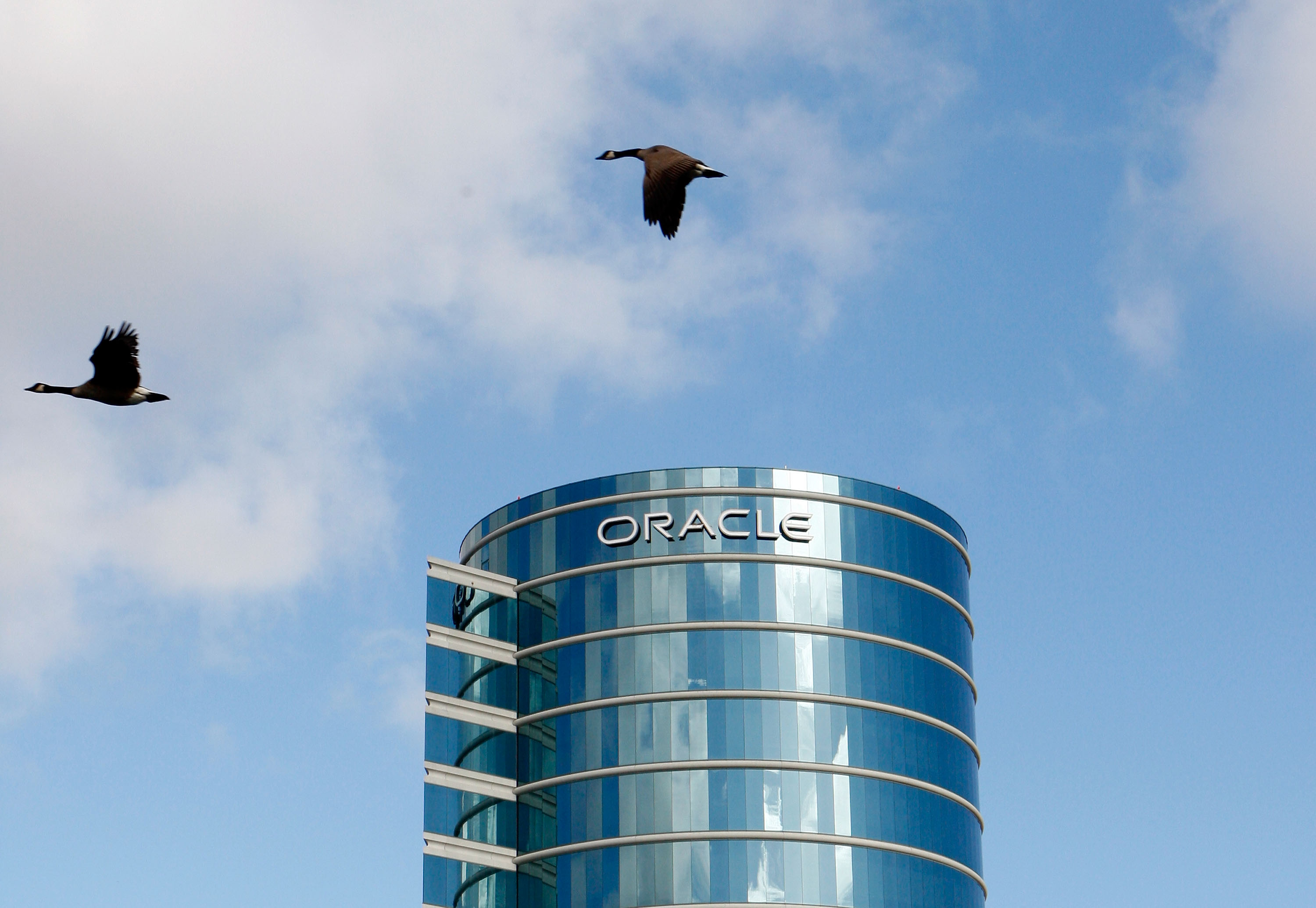 Oracle отчете печалба от над $13 милиарда