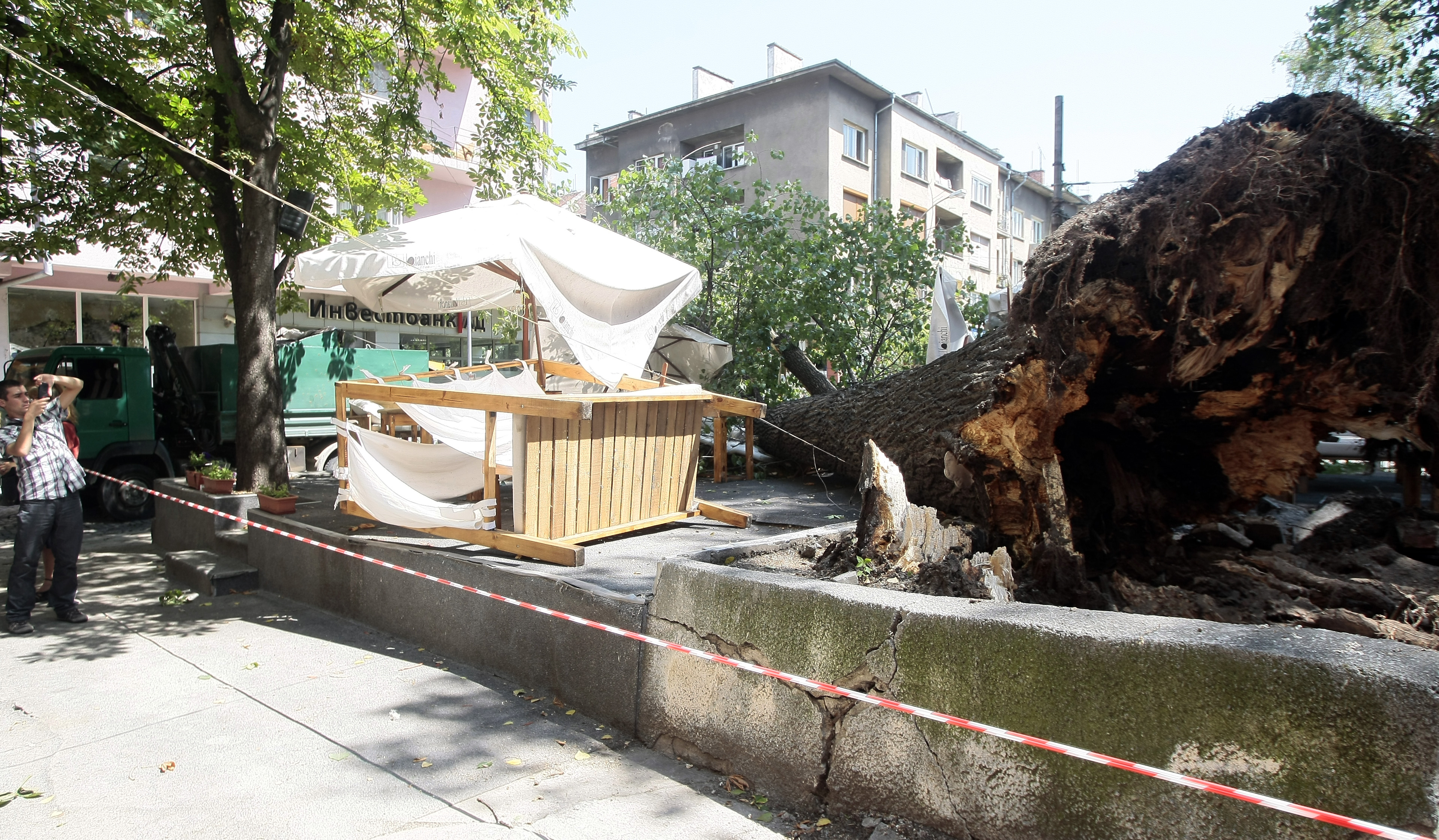 40-метрова топола падна върху заведение в София