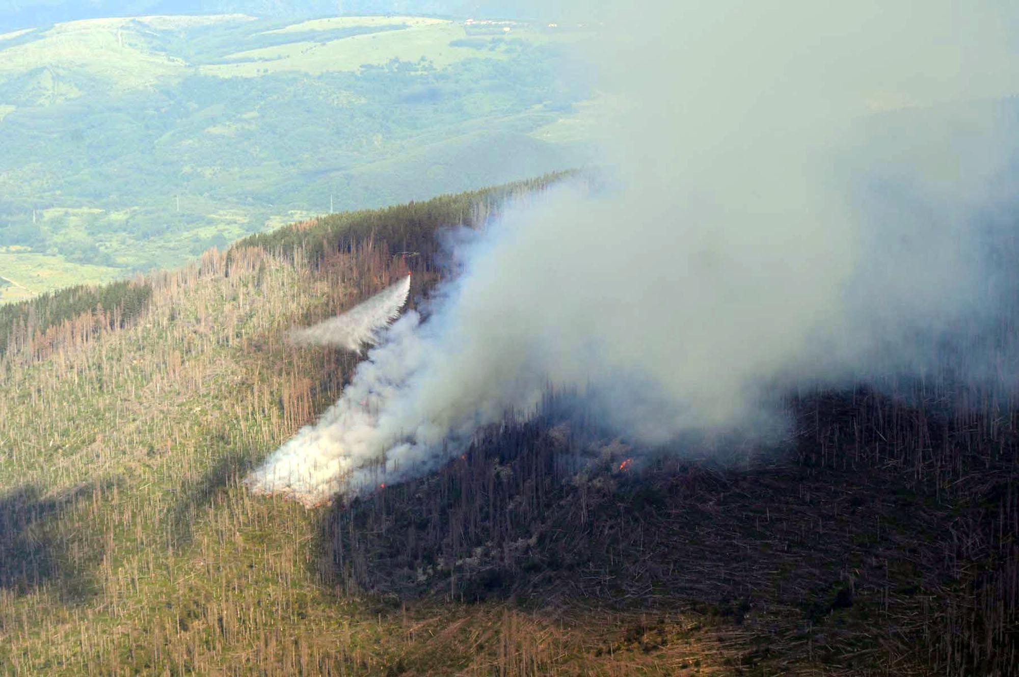 Пожар гори в резервата на Витоша „Бистришко бранище”