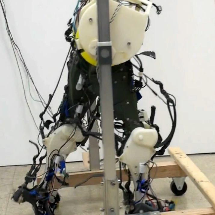 Най-усъвършенстваните биомеханични крака