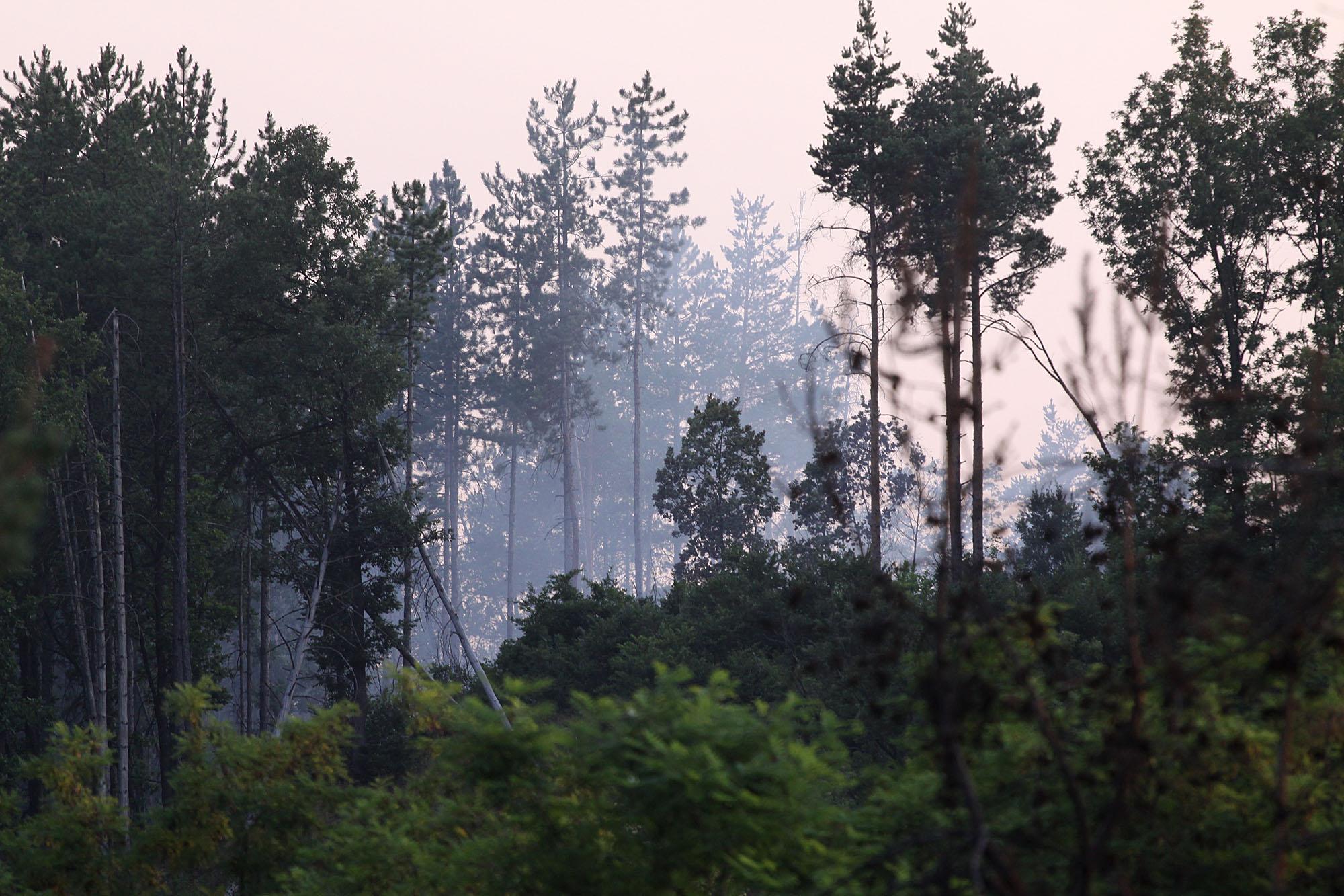 800 дка гора изгоряха до българо-турската граница