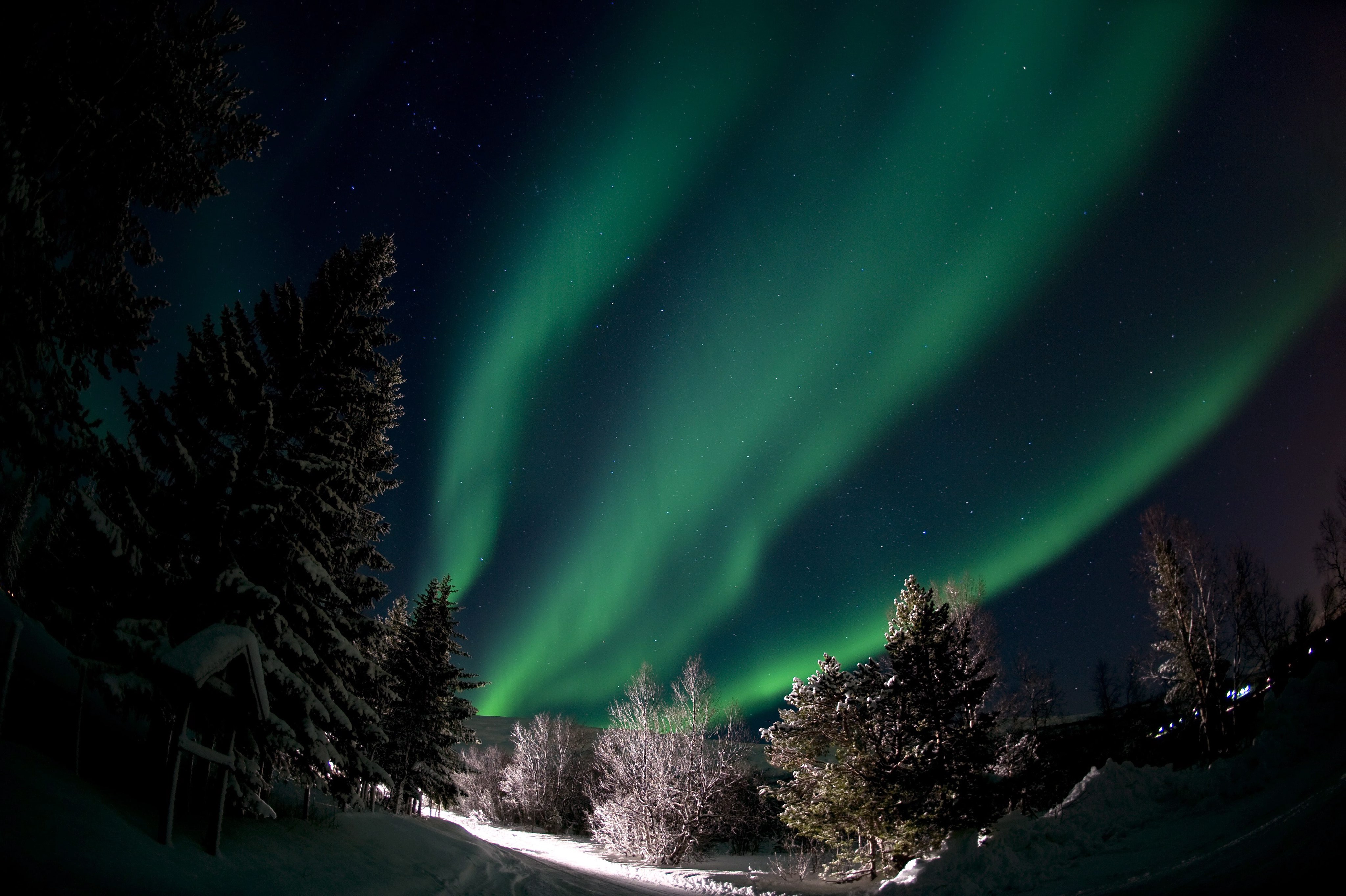 Северното сияние - ”Аврора Бореалис”