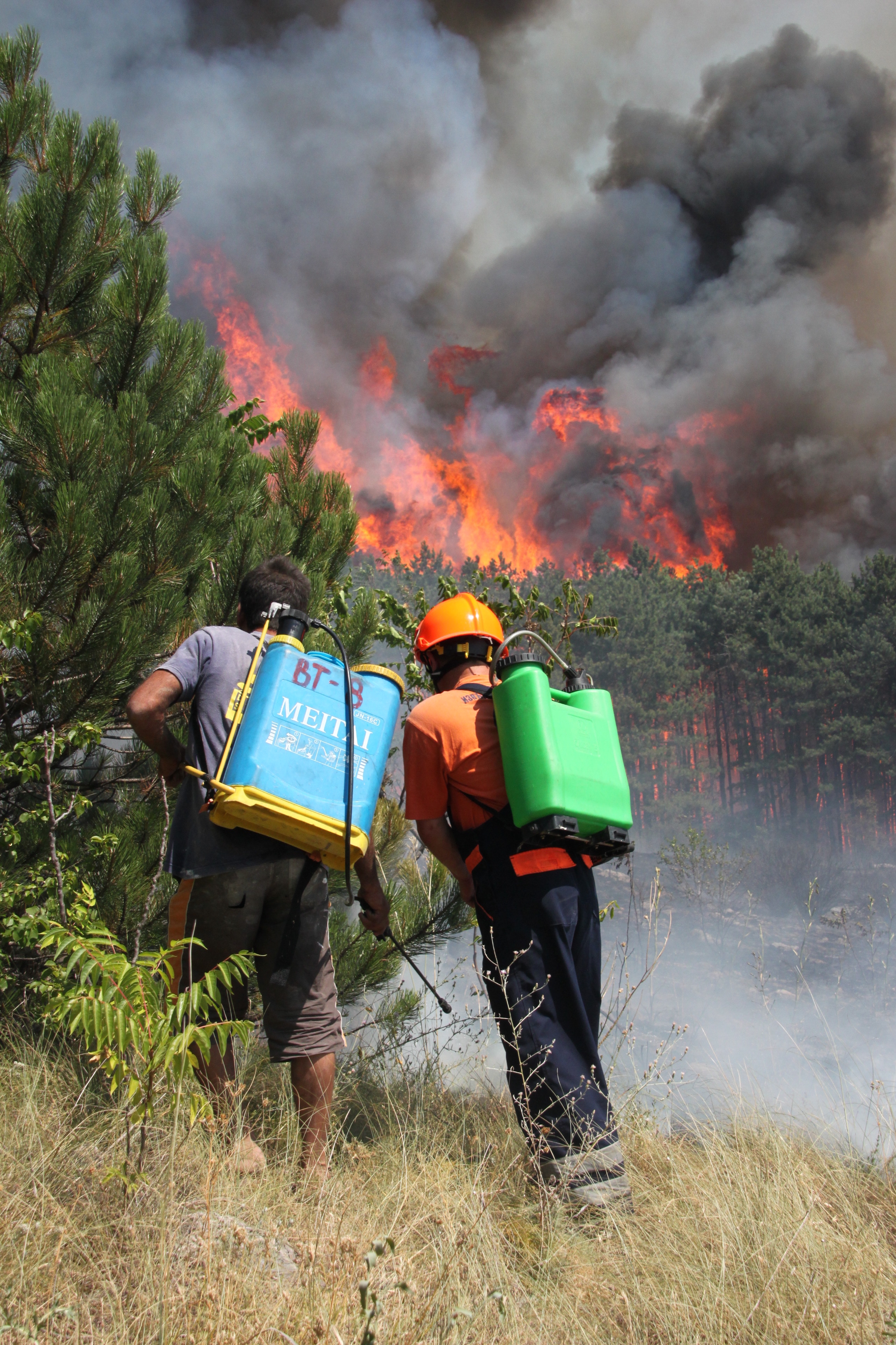Потушен е пожарът край Арбанаси