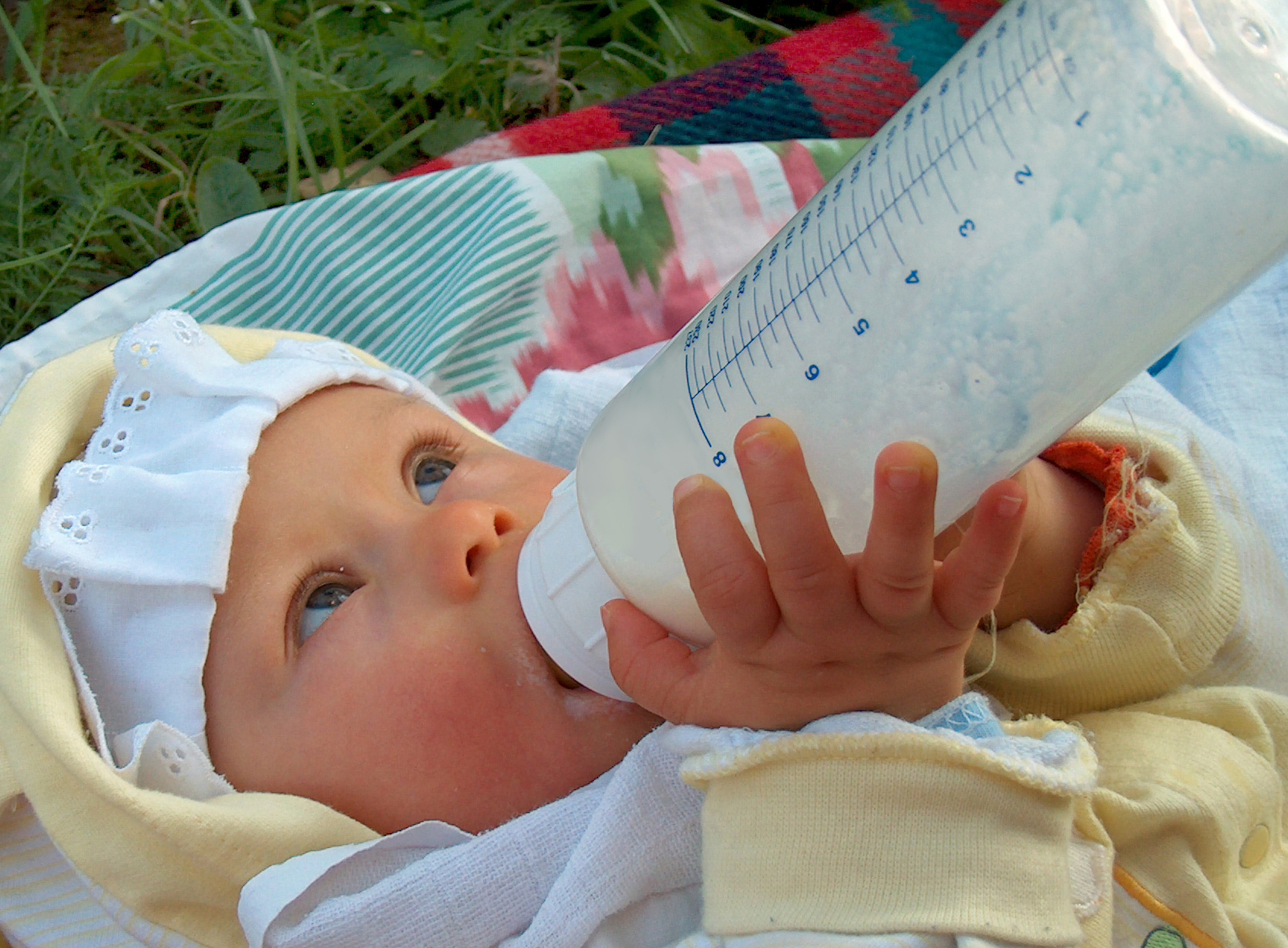 През първата годинка от живота на детето млякото е основната му храна, доставяща всички необходими хранителни вещества