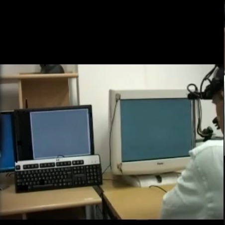 Участниците в експеримента виждат на екрана си и мъждукащи бели и черни точки върху сив фон