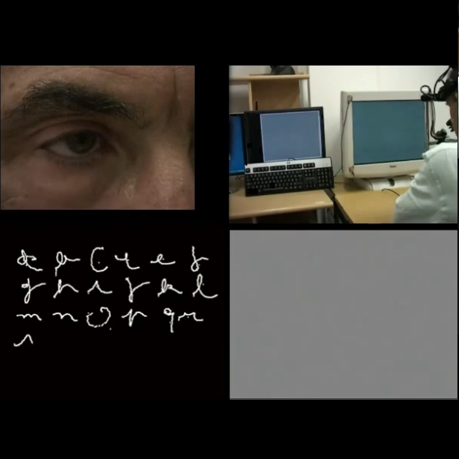 Участниците в експеримента виждат на екрана си и мъждукащи бели и черни точки върху сив фон