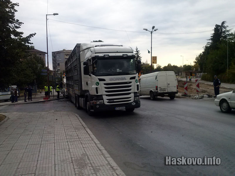 12 бика избягаха от пламнал ТИР в Димитровград