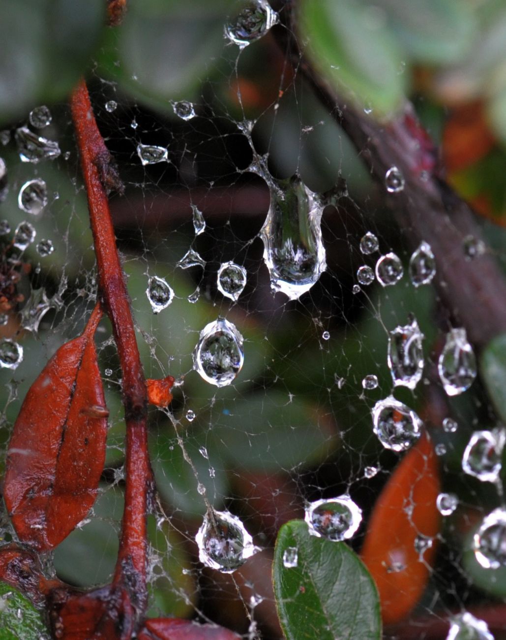 Месечна прогноза за ноември