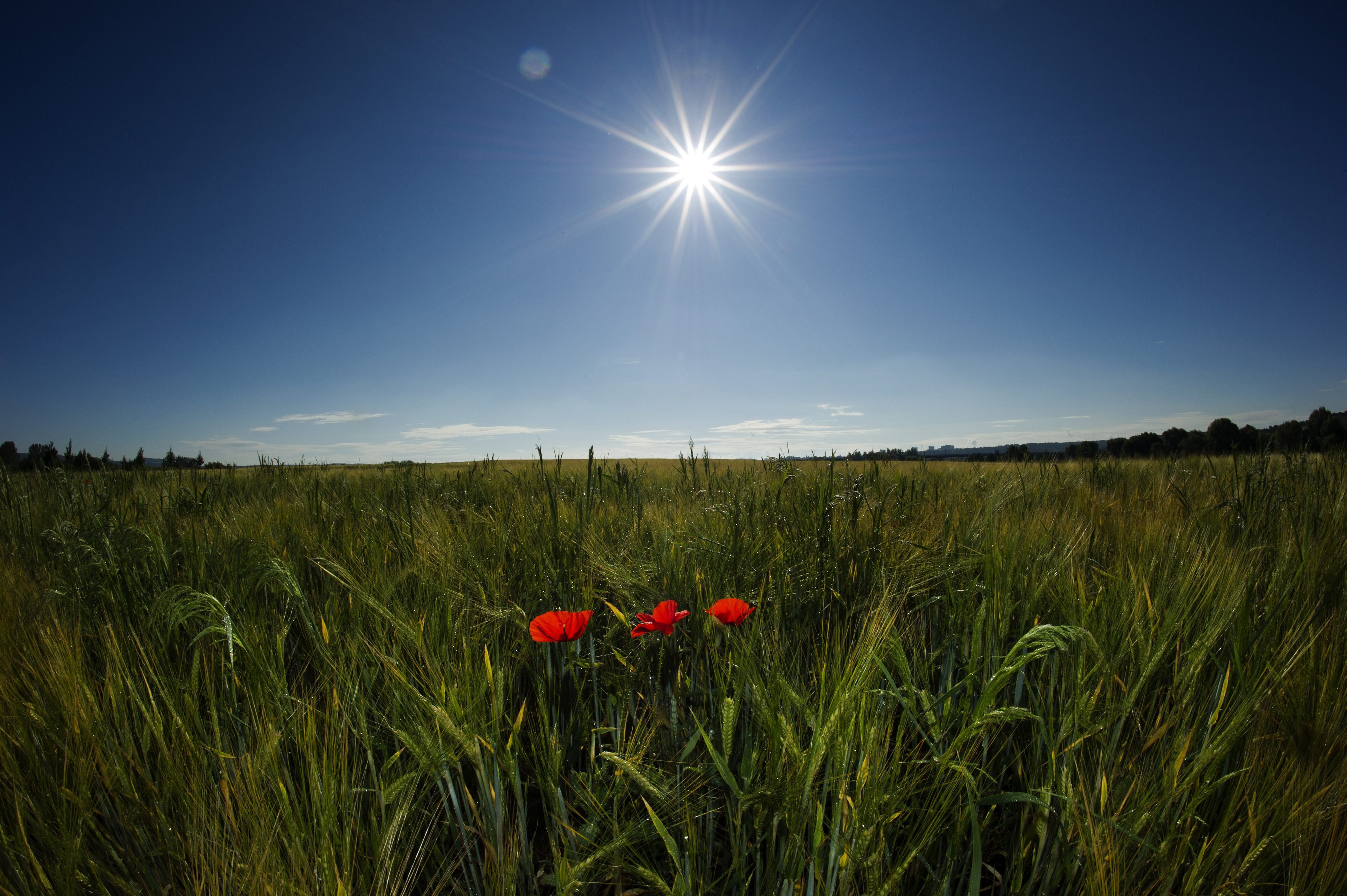 Последният ден на лятото