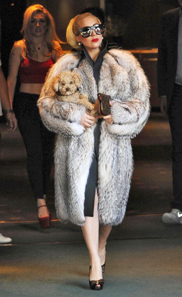 Макар да не е розово, палтото на Лейди Гага сигурно е на ”Хермес”