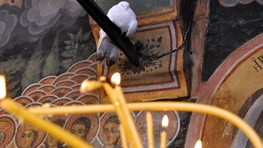 Снимка Александровска болница А донорът е 15 годишната ученичка от София