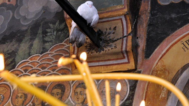 Снимка: Александровска болница А донорът е 15-годишната ученичка от София