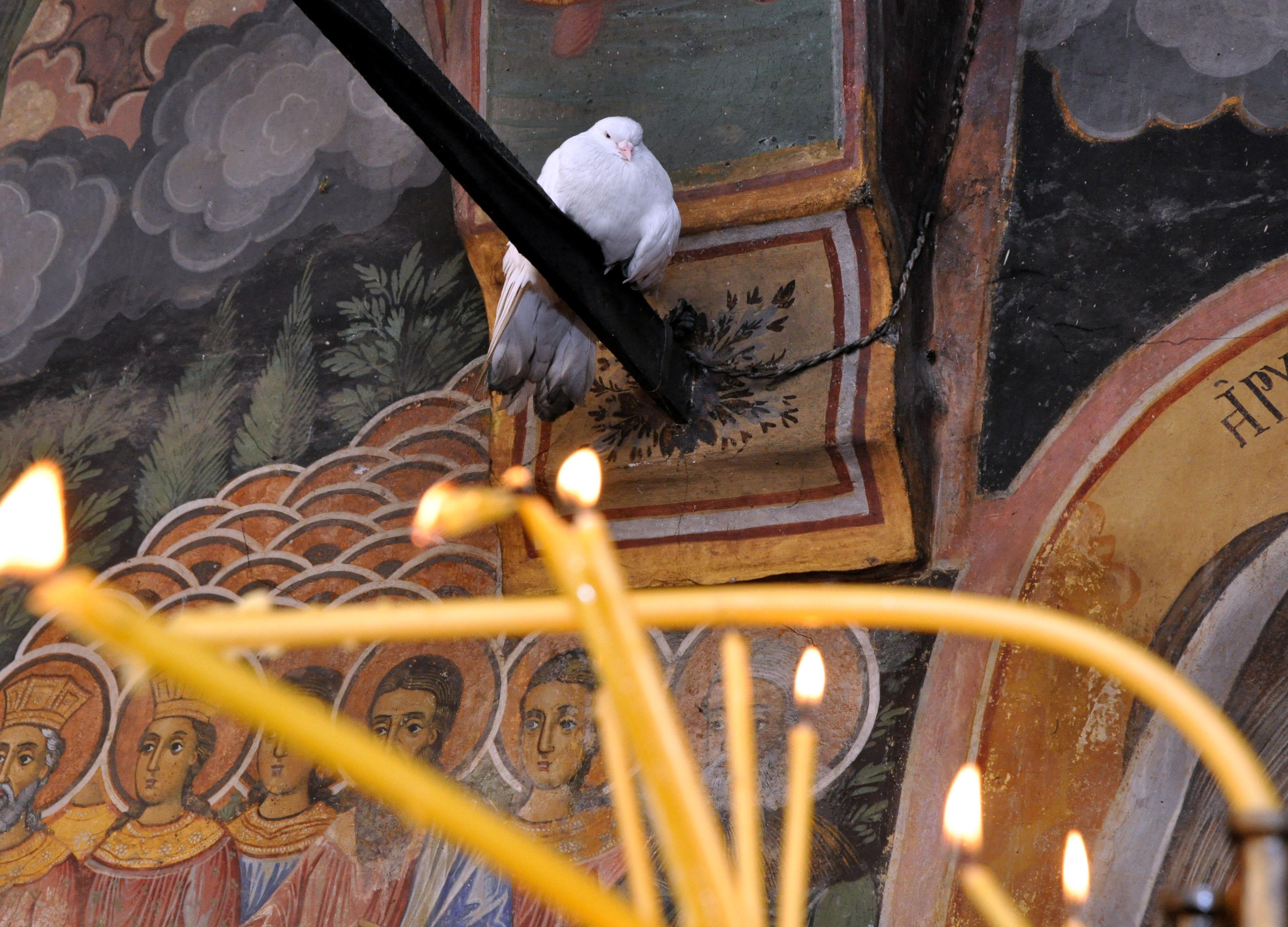Бял гълъб в манастира ”Успение Богородично” в Ловеч (Снимка архив)