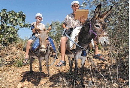 Wi-Fi магарета разхождат туристи