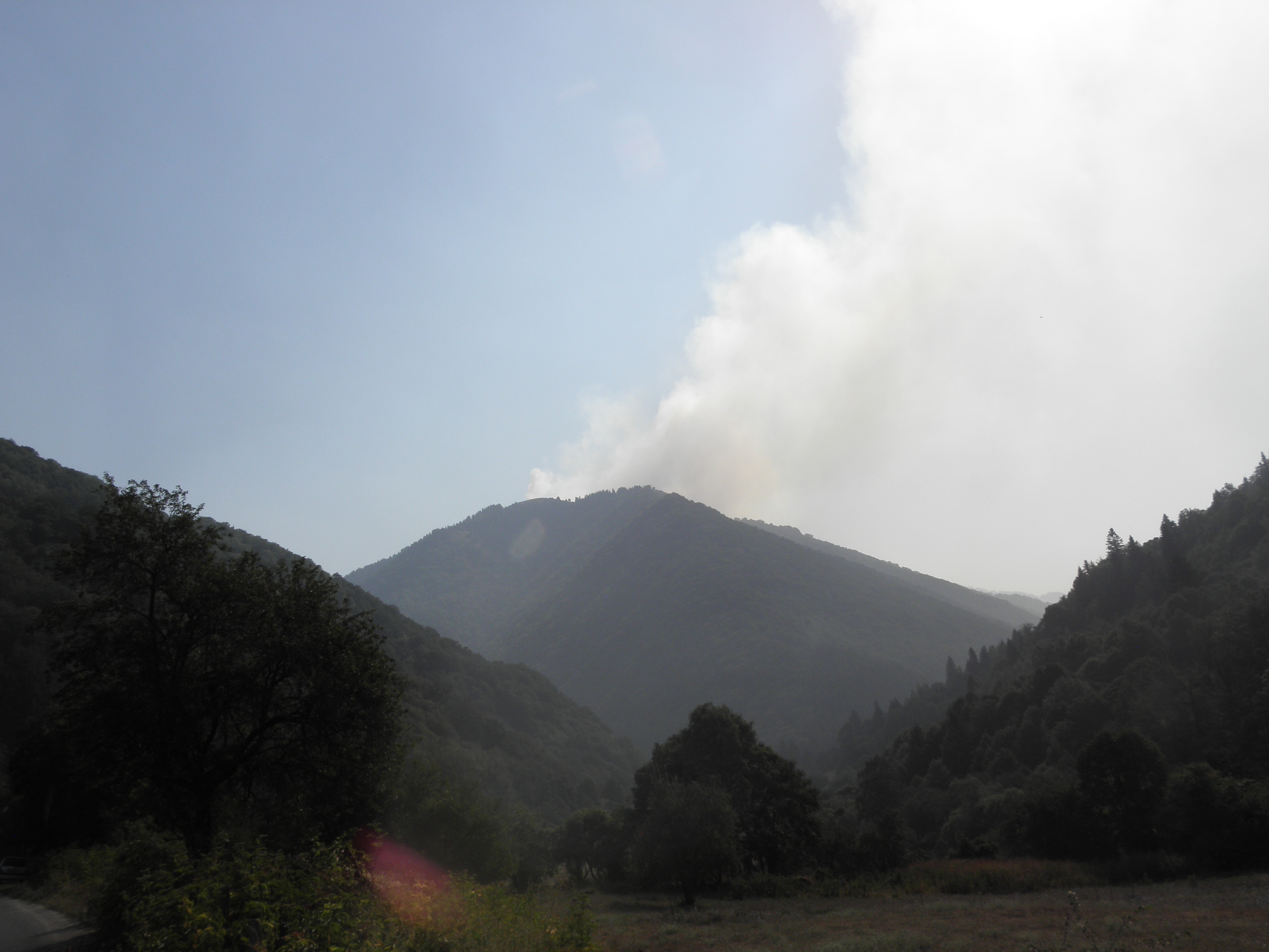 Горски пожар застрашава Рилския манастир