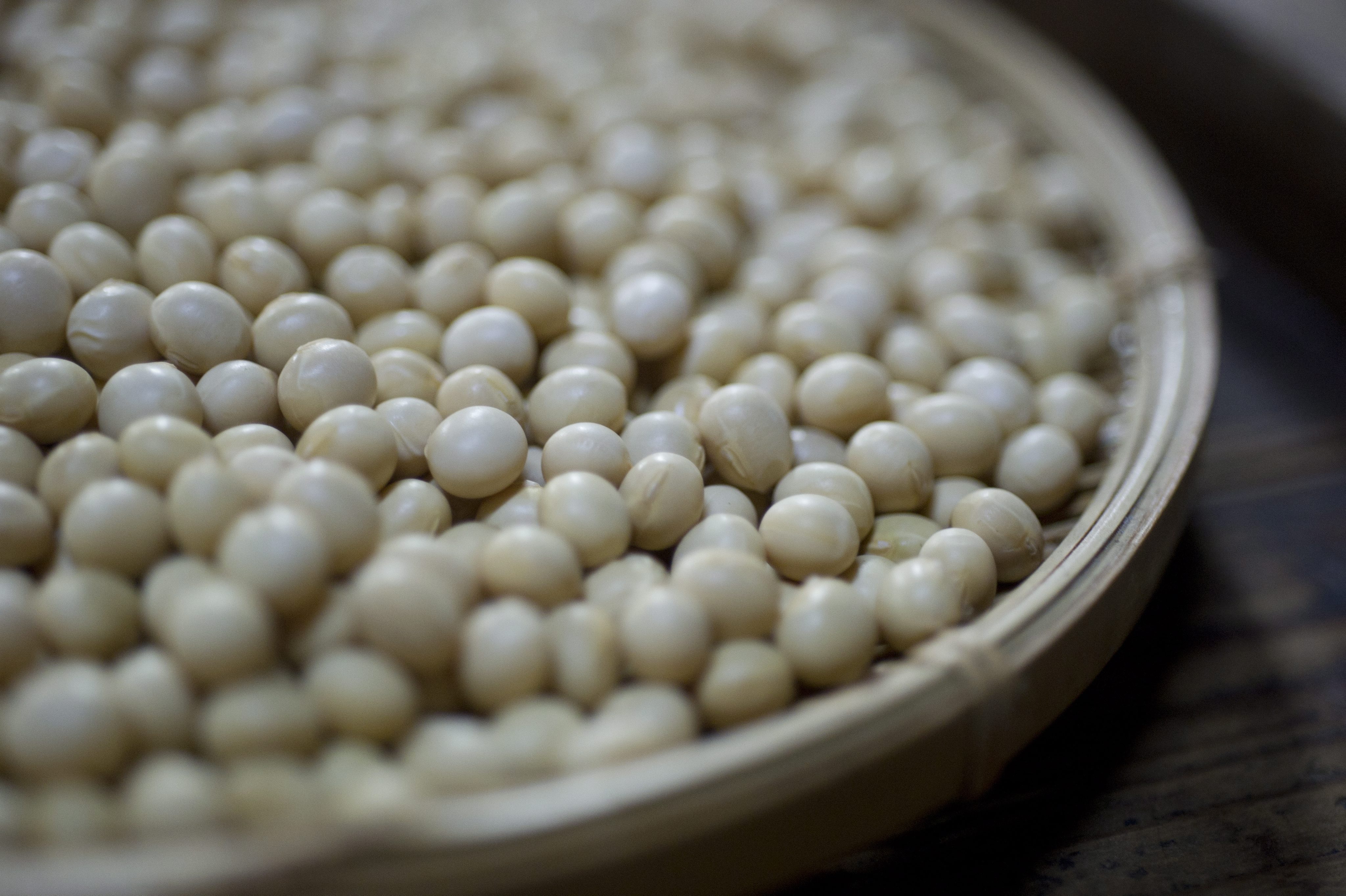 Спряха от продажба 10 тона ГМО соя в Бургас