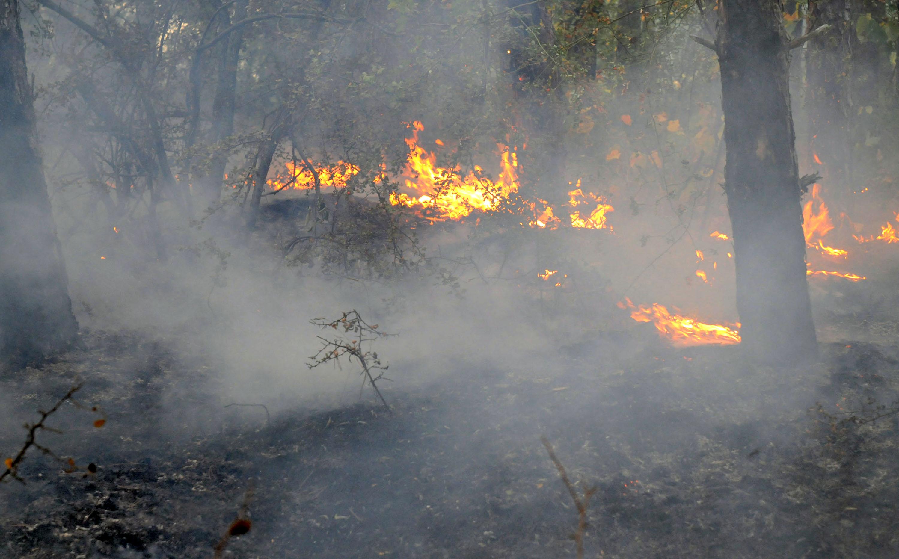 Овладяна е огнената стихия на територията на община Средец