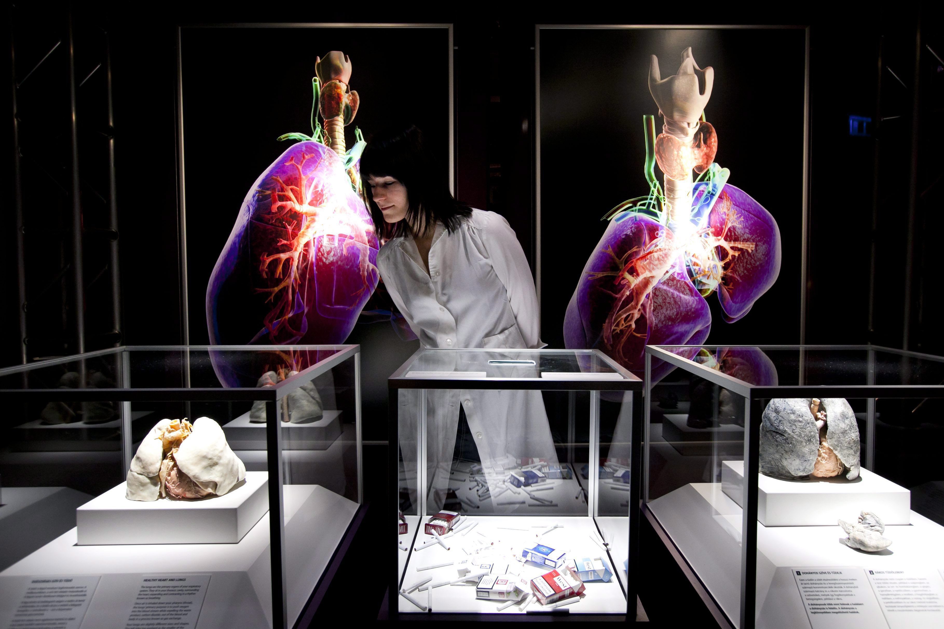 Колабирането на естествената ”четка” води до инфекции и възпаления (снимка архив)