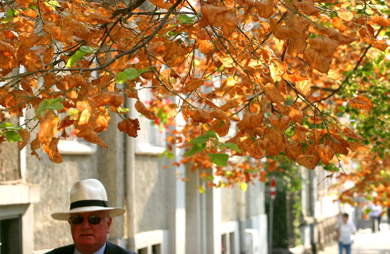 Есента вече е тук