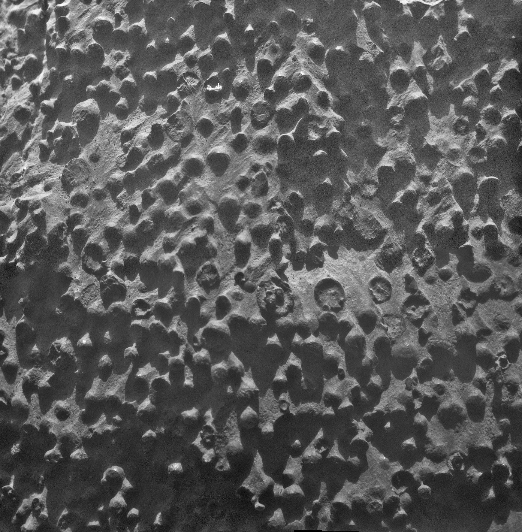 Това е една от най-невероятните снимки от цялата мисия, смята ученият Стив Скуайърс