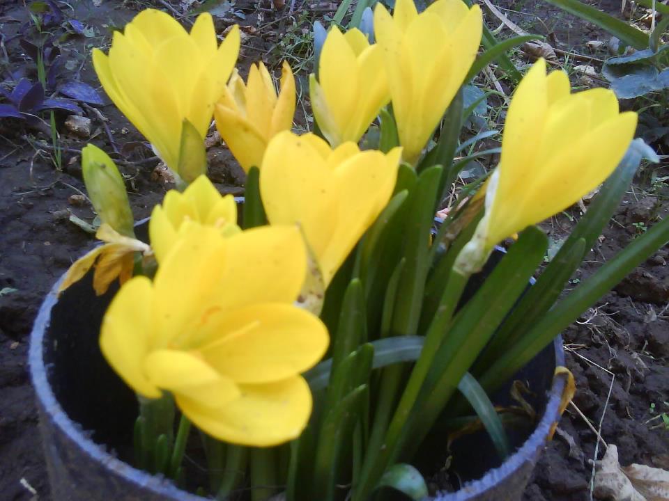 Лятото се завръща от неделя