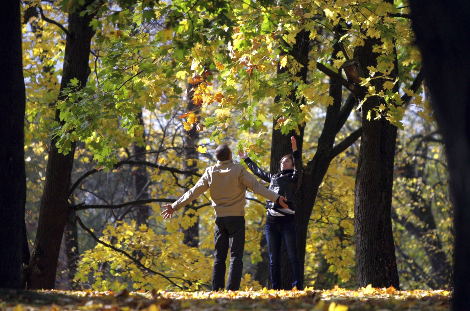 Седмична прогноза