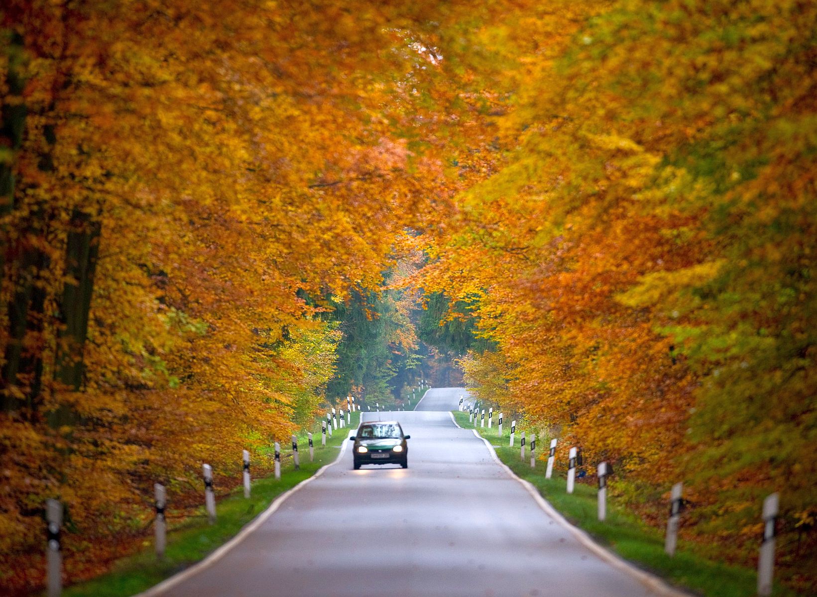 Седмична прогноза
