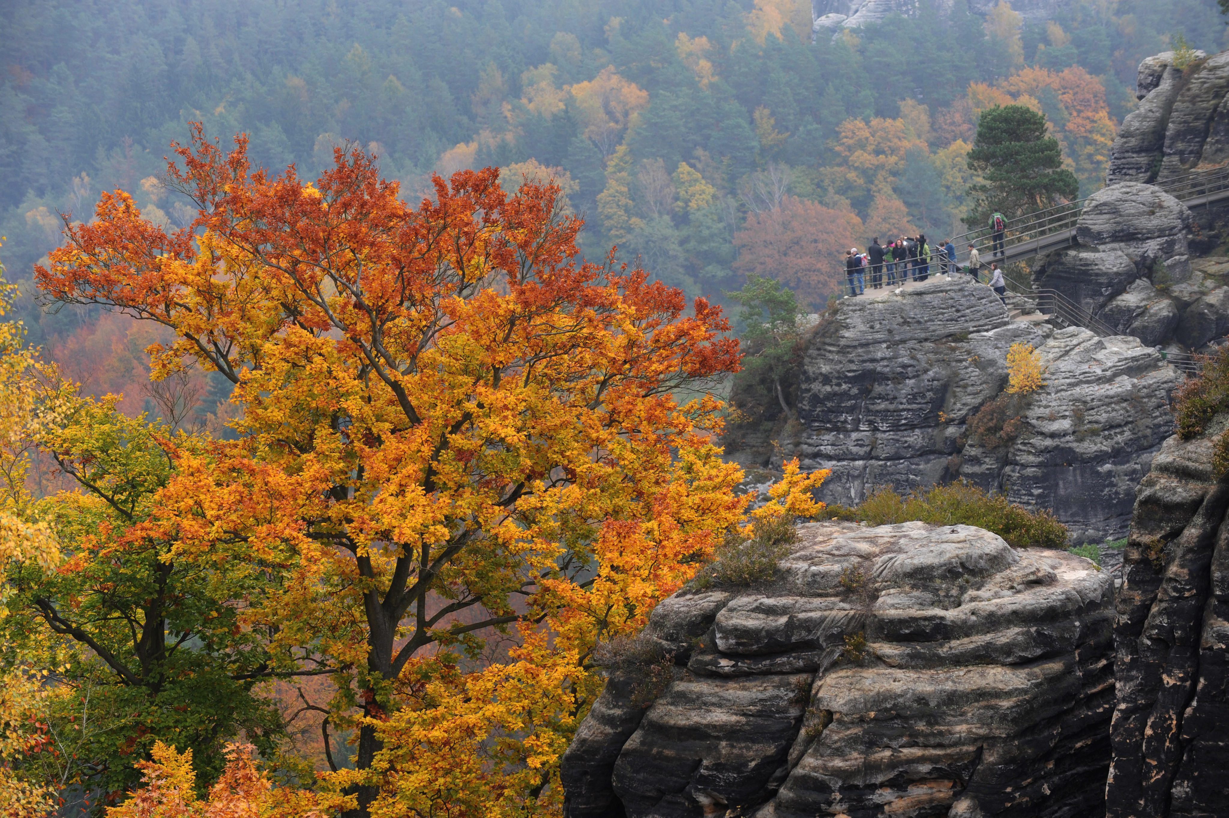 Есента продължава със затопляне от понеделник