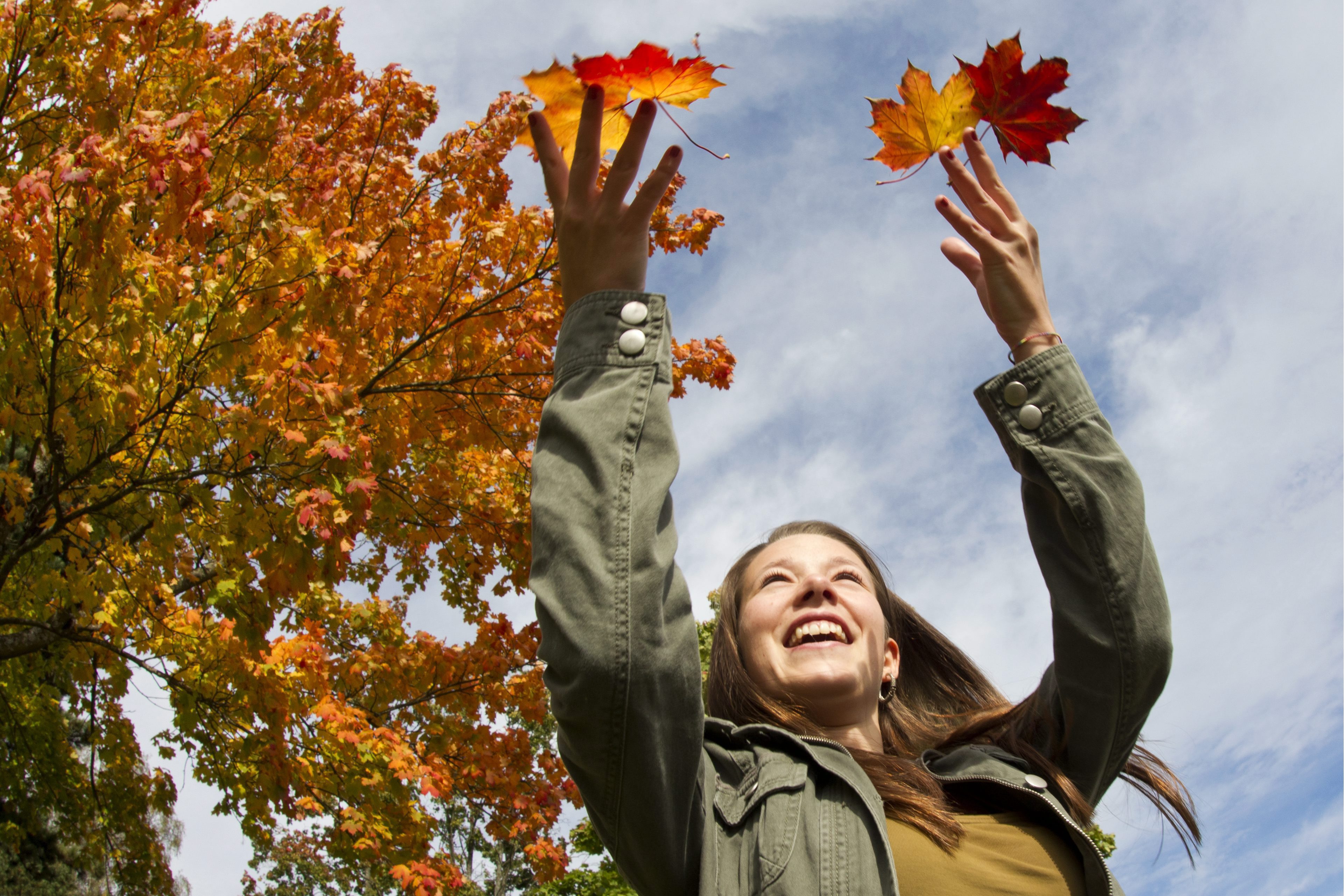 Есента продължава с температури близки до обичайните