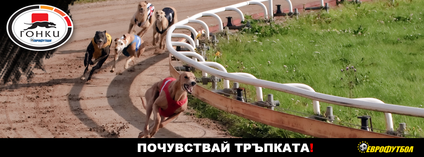 ”Еврофутбол” заложи на скоростта и бързата игра с гонки с кучета