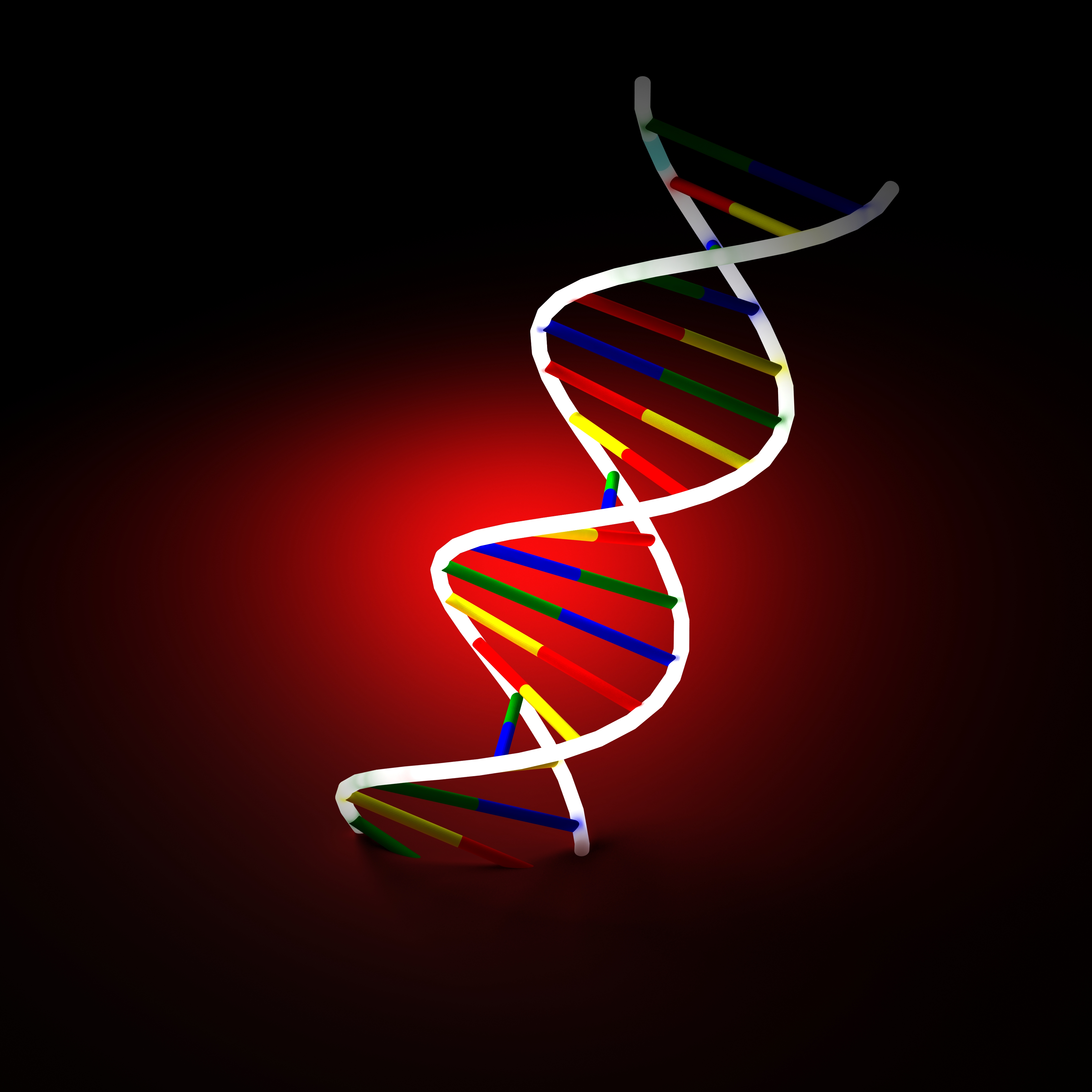 Втори генетичен код се крие в ДНК