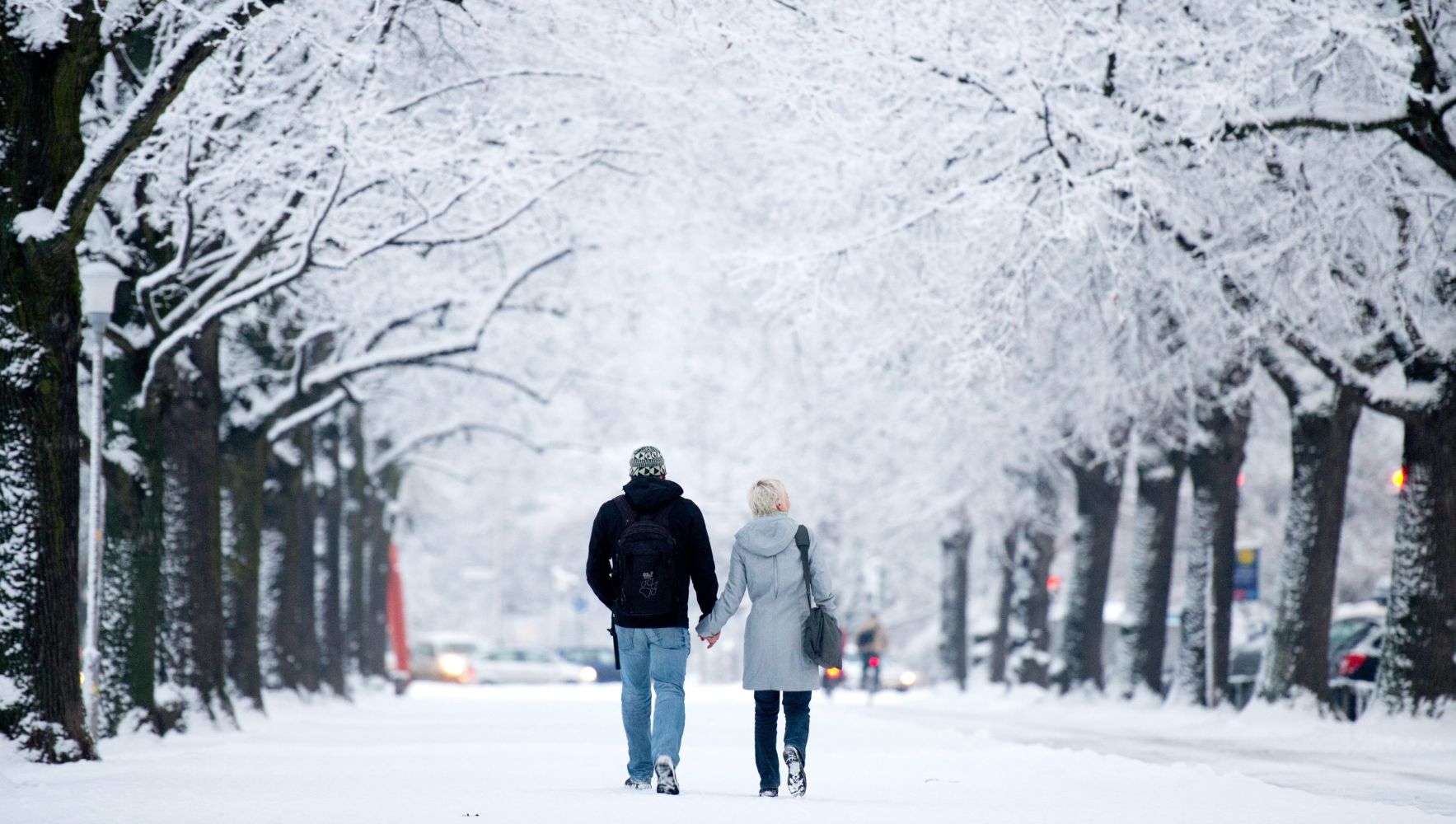 Най-студените зимни дни - утре и в сряда?