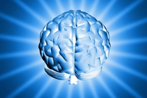 Учени установиха, че тестовете за интелигентност са безполезни